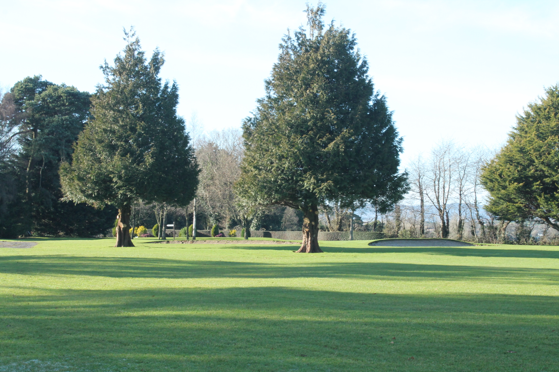 Welcome to Enniscorthy Golf Club - Enniscorthy Golf Club